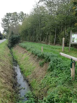 Galgebossen (Poperinge, Elverdinge, Vlamertinge) (Belgie)